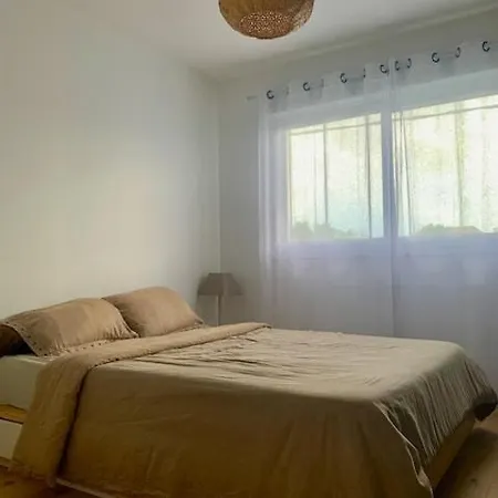 度假居 Charming Quiet House In 波尔多
